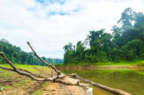 Lake reflection Stock Photos