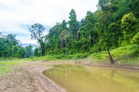 Lake reflection Stock Photos