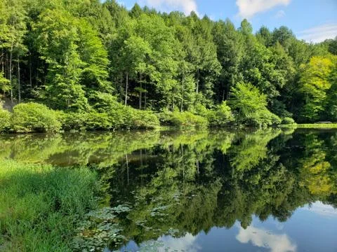 Lake with reflection Foto stock