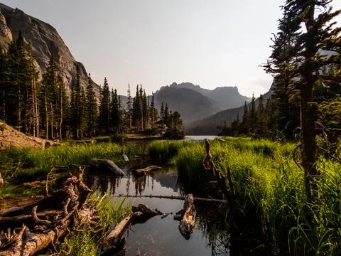 Lake reflection scene with gorgeous marsh grass, lush forest, and Rocky Mount Stock Photos