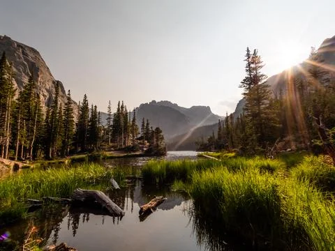 Lake reflection scene with gorgeous marsh grass, lush forest, and Rocky Mount Stock Photos