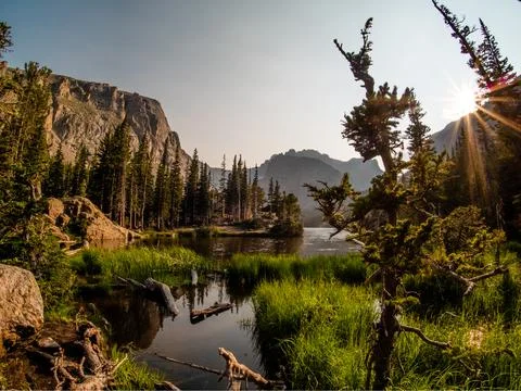 Lake reflection scene with gorgeous marsh grass, lush forest, and Rocky Mount Stock Photos