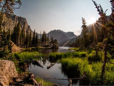 Lake reflection scene with gorgeous marsh grass, lush forest, and Rocky Mount Stock Photos