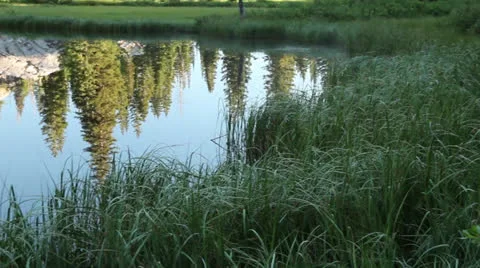 Lake reflection tight shot Vídeos de archivo 26035898