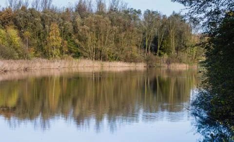 Lake with reflection of trees in the autumn Фото