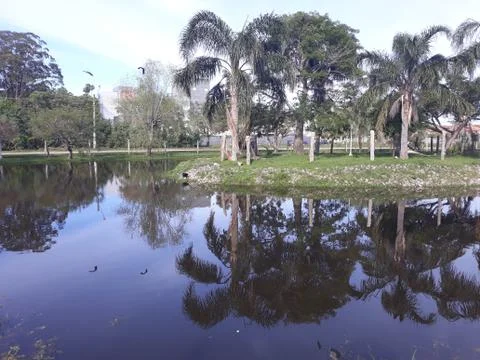 Lake with reflection of vegetation Stock Photos