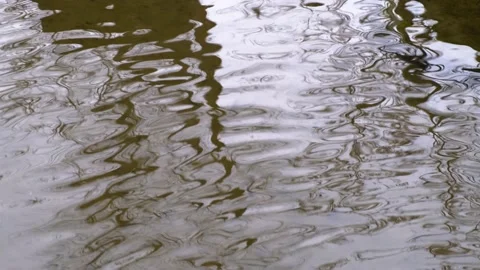 The lake reflection water ripple 스톡 동영상 237096548