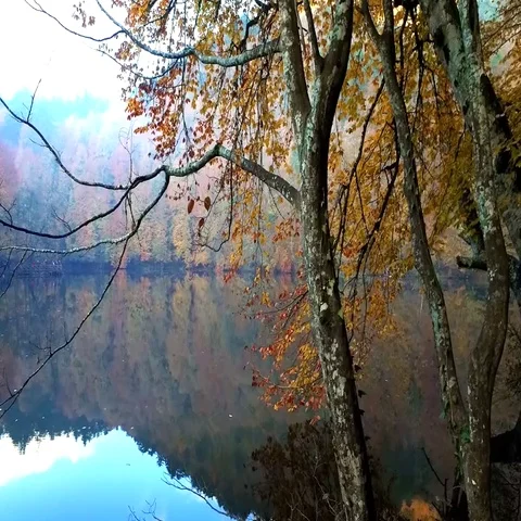 Lake with Reflection in Yedigoller Stock Footage 69361386