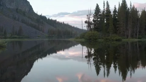 Lake Reflections and Pine Trees from Above 스톡 동영상 307729991