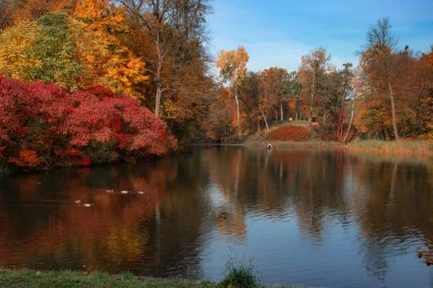 Lake reflections of fall foliage Stock-Fotos