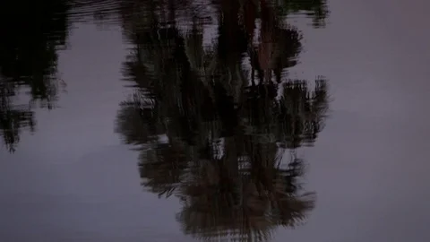 Lake reflections Video stock 84455794