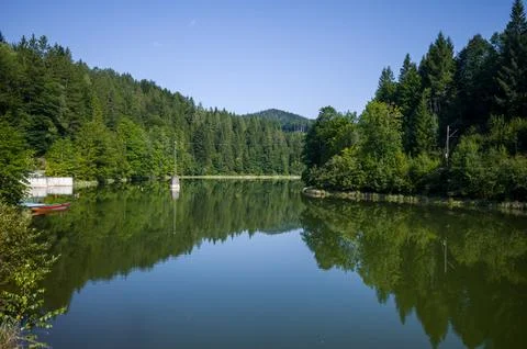 Lake Reflections, Forest's Edge Stock Photos