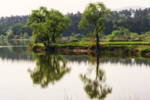 Lake reflections Stock Photos