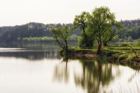 Lake reflections Stock Photos