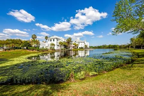 Lake Reflections Stock Photos