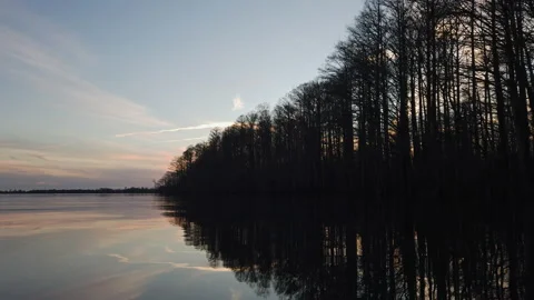 Lake Reflections by the Trees in the Afternoon Stock Footage 172596911