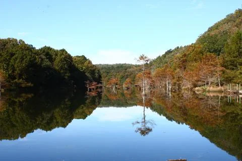 Lake with reflections of trees Stock Photos