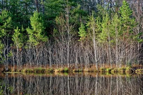 Lake reflections in winter Stock Photos
