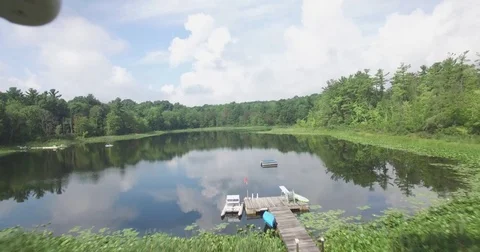 Lake Reveal Through Forest Trees 動画素材 79374969