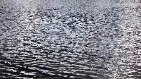 Lake ripples Stock Footage 90563526