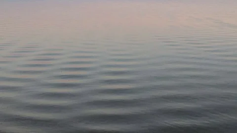 Lake Ripples Motion Background Stock Footage 99264818