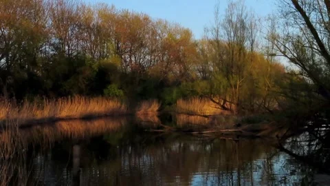 Lake with rising sun Stock Footage 309772467