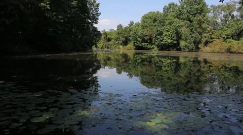 Lake Rocks 库存影片 12111935