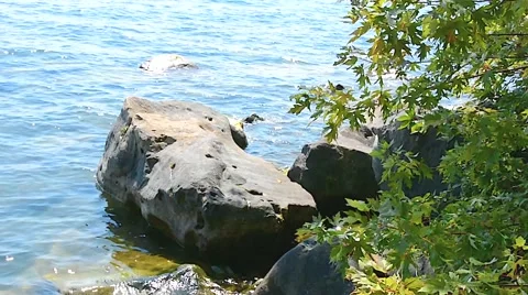 Lake rocks trees wind 01svv Stock Footage 47332763