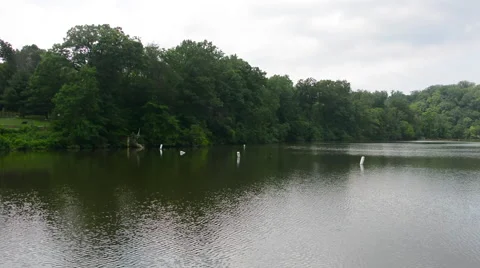 Lake Roland at Robert E. Lee Park in Baltimore, Maryland Stock Footage 51442245