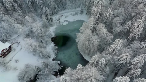 Lake Rosensee in winter surrounded by snow-covered coniferous forest and Alps Stock Footage 316672121