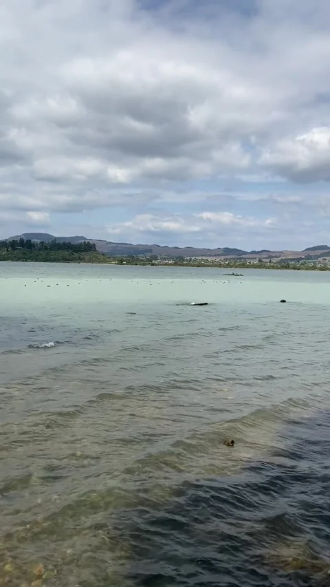 Lake in Rotorua Vidéo 344123362