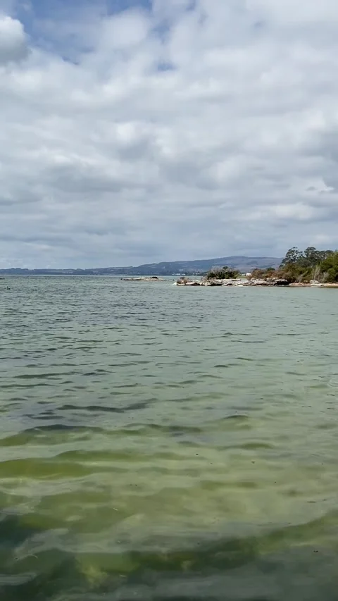 Lake in Rotorua 库存影片 344123434