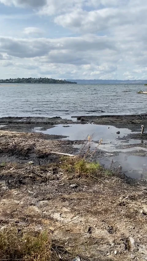 Lake in Rotorua Stockbeeldmateriaal 344123495