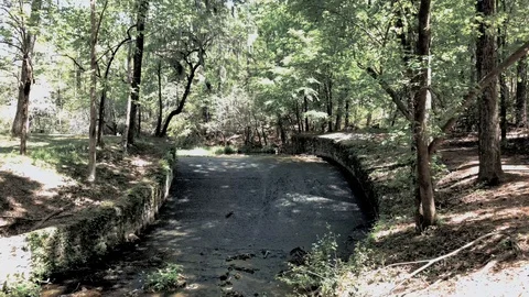Lake runnoff stream Pointsett State Park South Carolina. Stock Footage 89733148