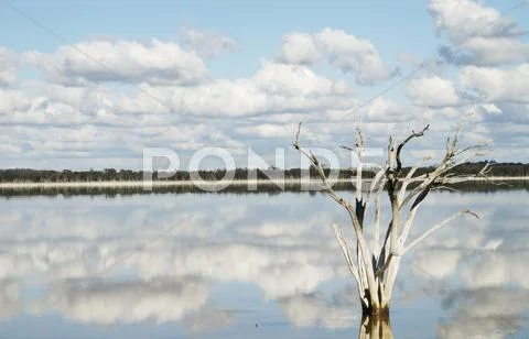 Lake in rural australia Stock Photos