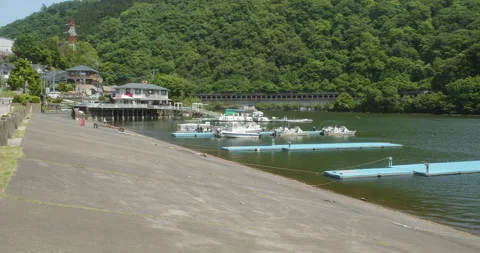 Lake Sagami Pier Stock Footage
