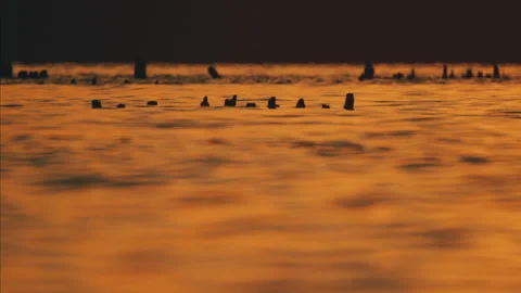 Lake with salt pillars at sunset Stock Footage 242598459
