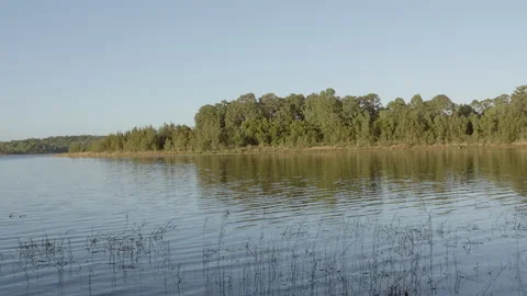 Lake Samsonvale Stock Footage 278807727