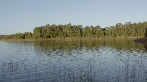 Lake Samsonvale Stock Footage 278843396