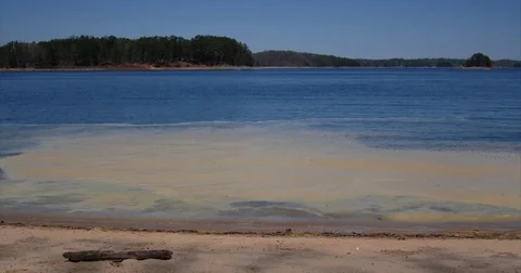 Lake Sand Shore Stock Footage 74958162