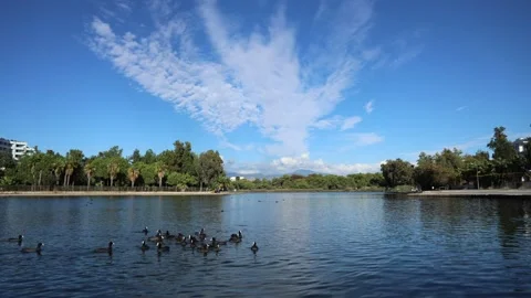 Lake scape  Stock Footage 142285851