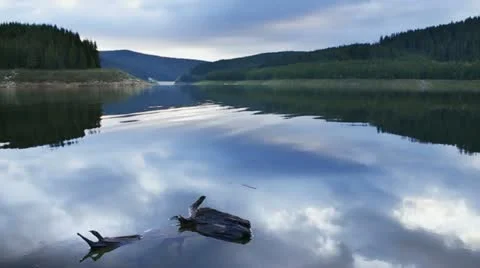 Lake scene Stock Footage 11284745