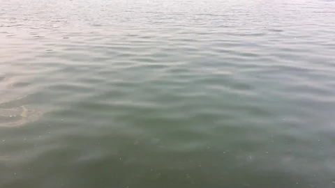 ​ lake scene in the park Stock Footage 75213317