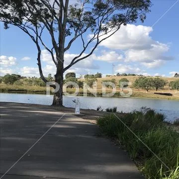 Lake scene Stock Photos