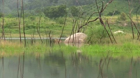 Lake scenery with rocks 動画素材 71086356