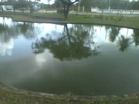 The lake at the science museum reflects the trees, the cars pass by Stock Footage 162283418