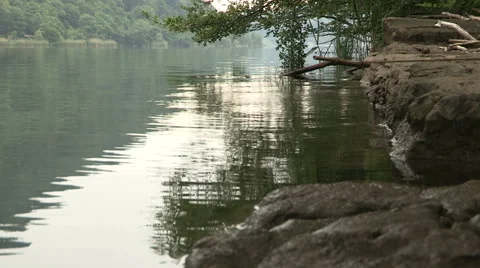 The Lake Segrino Stock Footage 59948776