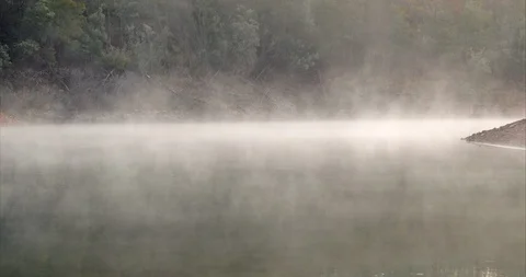 Lake Series 動画素材 118445818