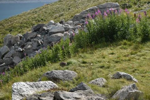 Lake of Serù Stock Photos