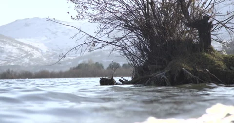 Lake Sevan Armenia Shore Tree Foreground Low Angle 4K Stock Footage 326638300